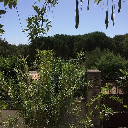 Maison D'Elie Saint-Tropez Eksteriør bilde