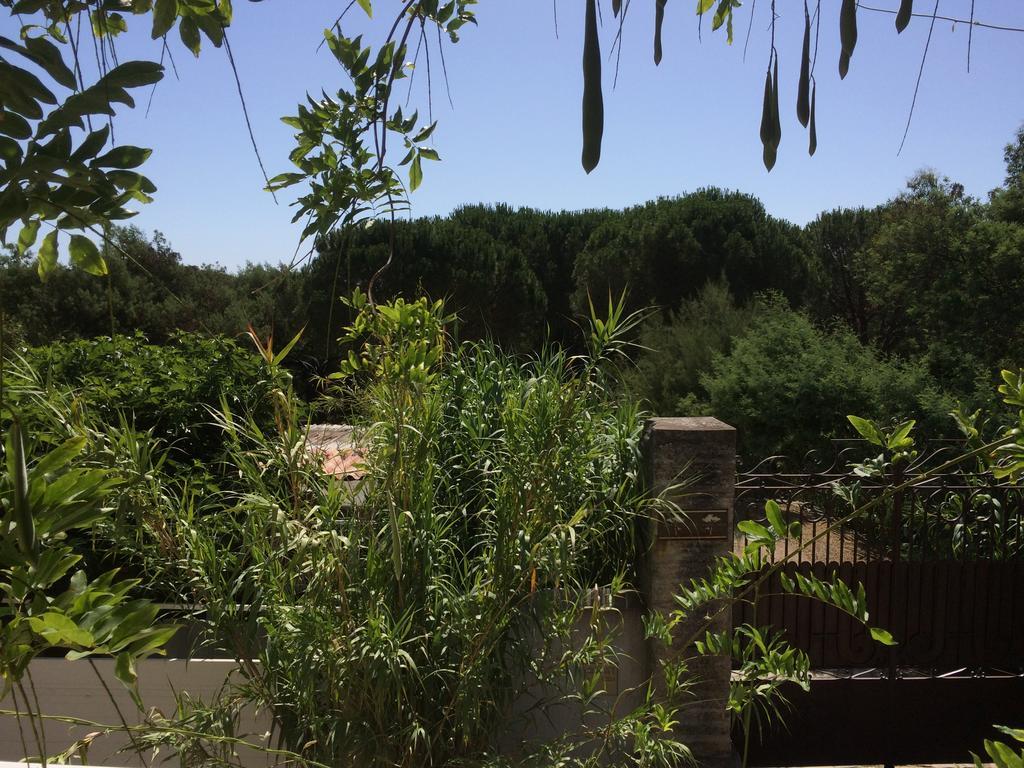 Maison D'Elie Saint-Tropez Eksteriør bilde